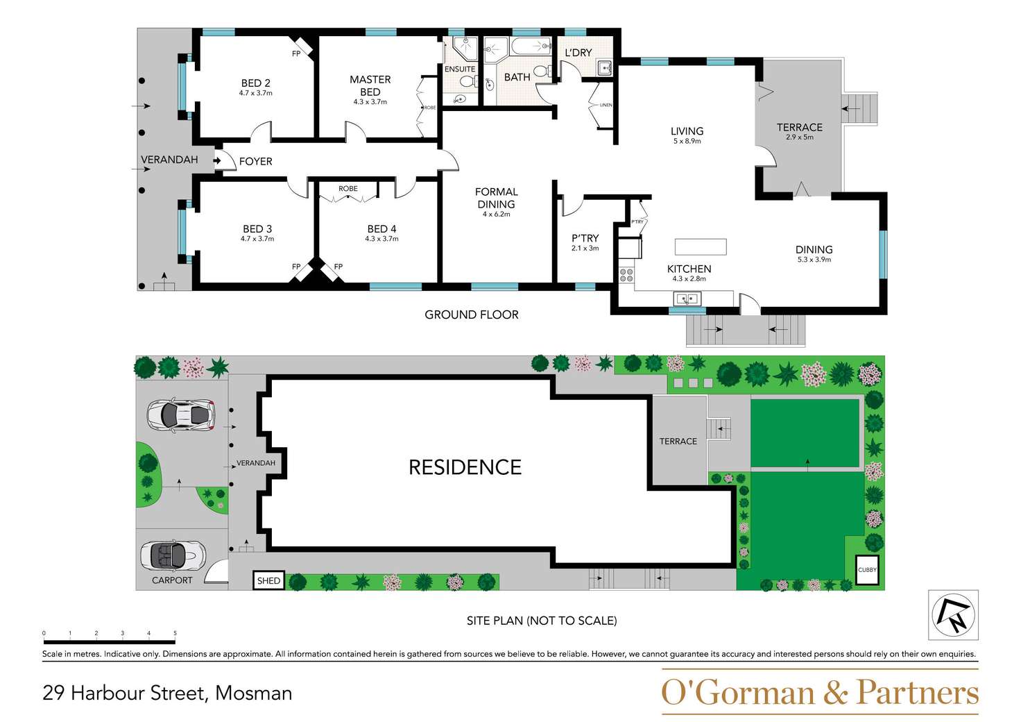 Floorplan of Homely house listing, 29 Harbour Street, Mosman NSW 2088