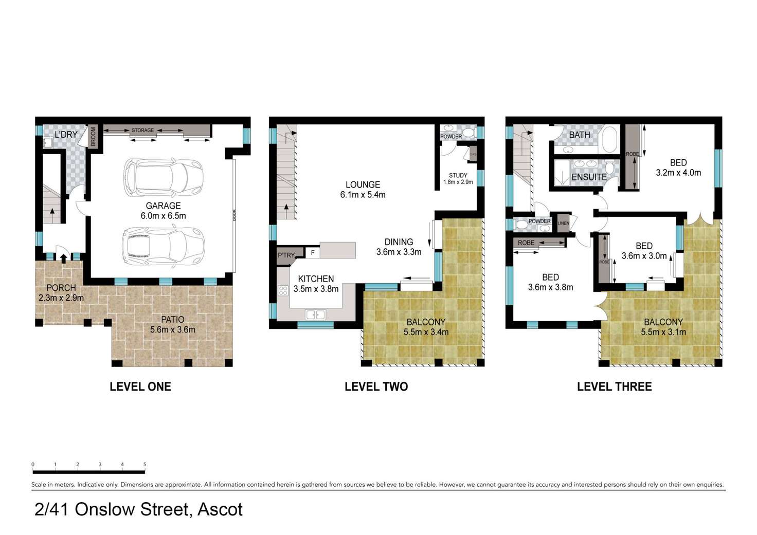 Floorplan of Homely townhouse listing, 2/41 Onslow Street, Ascot QLD 4007