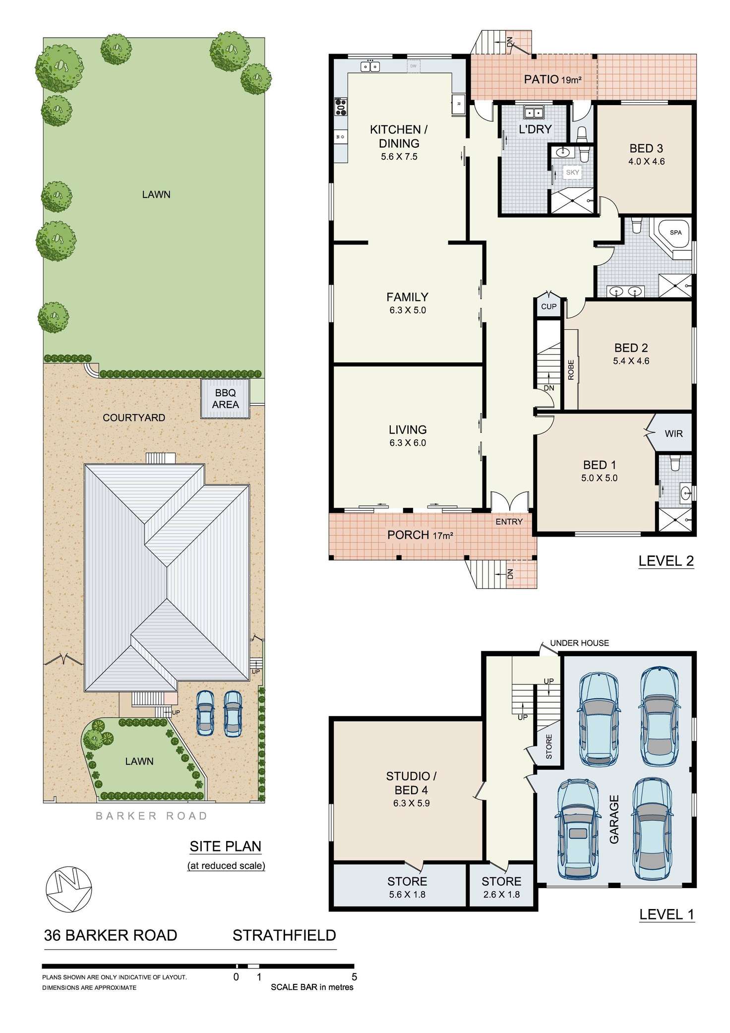 Floorplan of Homely house listing, 36 Barker Road, Strathfield NSW 2135