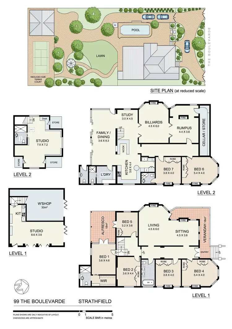 Floorplan of Homely house listing, 99 The Boulevarde, Strathfield NSW 2135