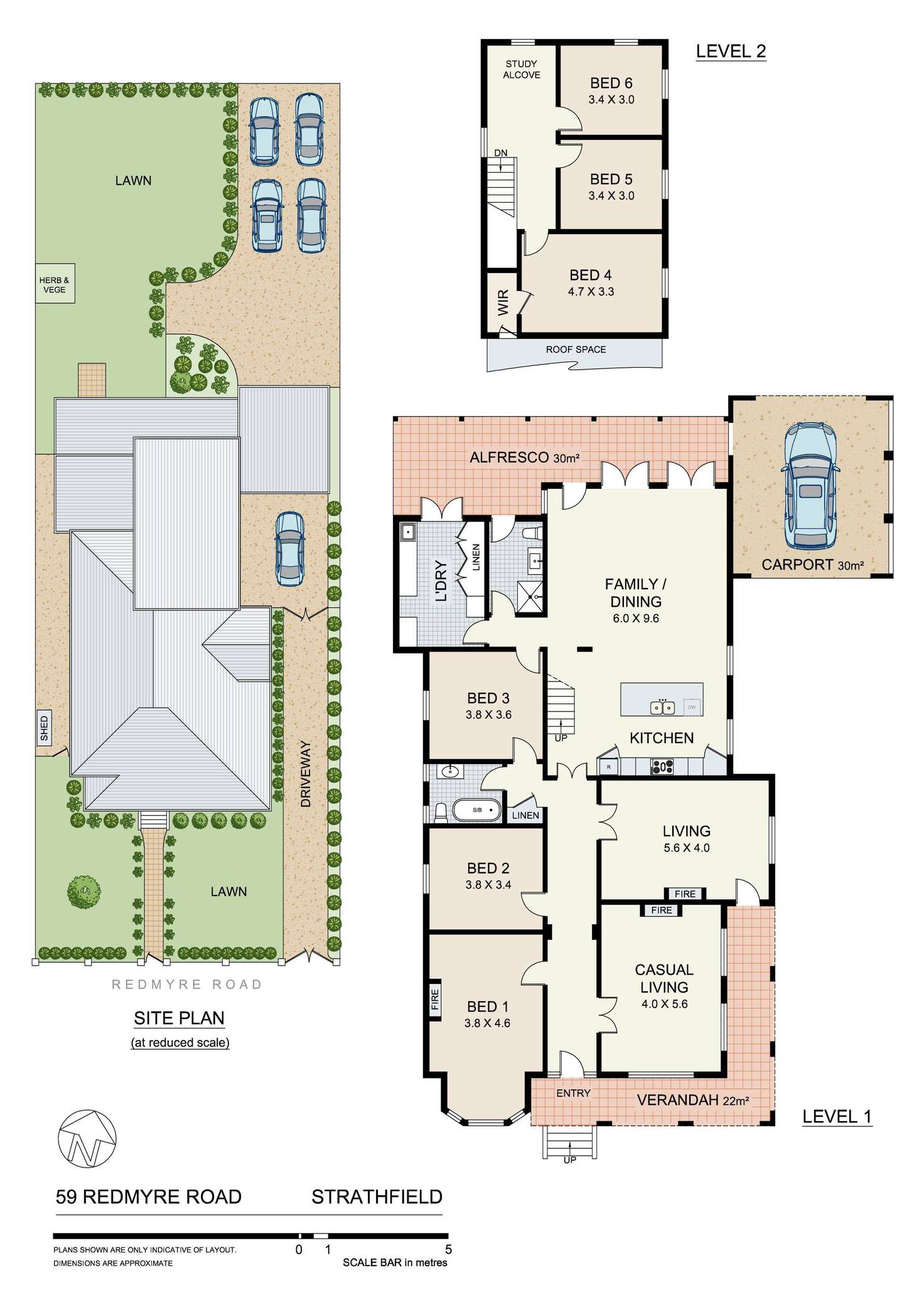 Floorplan of Homely house listing, 59 Redmyre Road, Strathfield NSW 2135