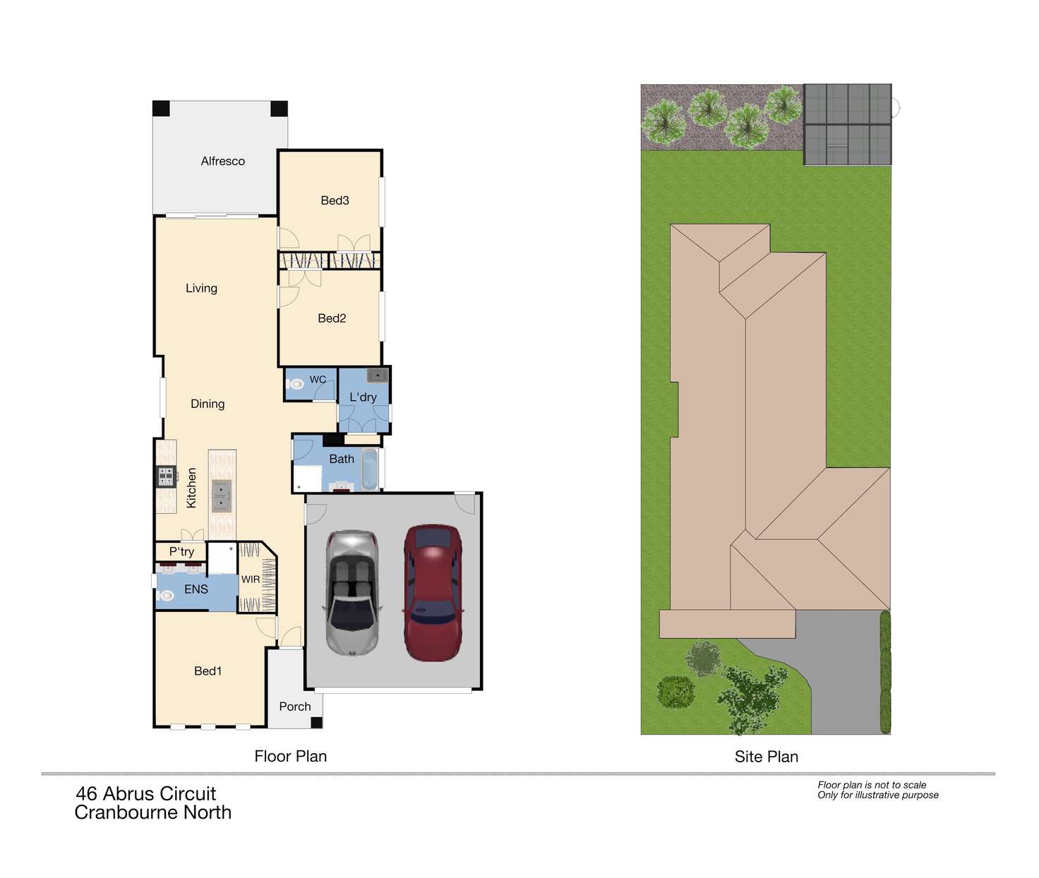 Floorplan of Homely house listing, 46 Abrus Circuit, Cranbourne North VIC 3977