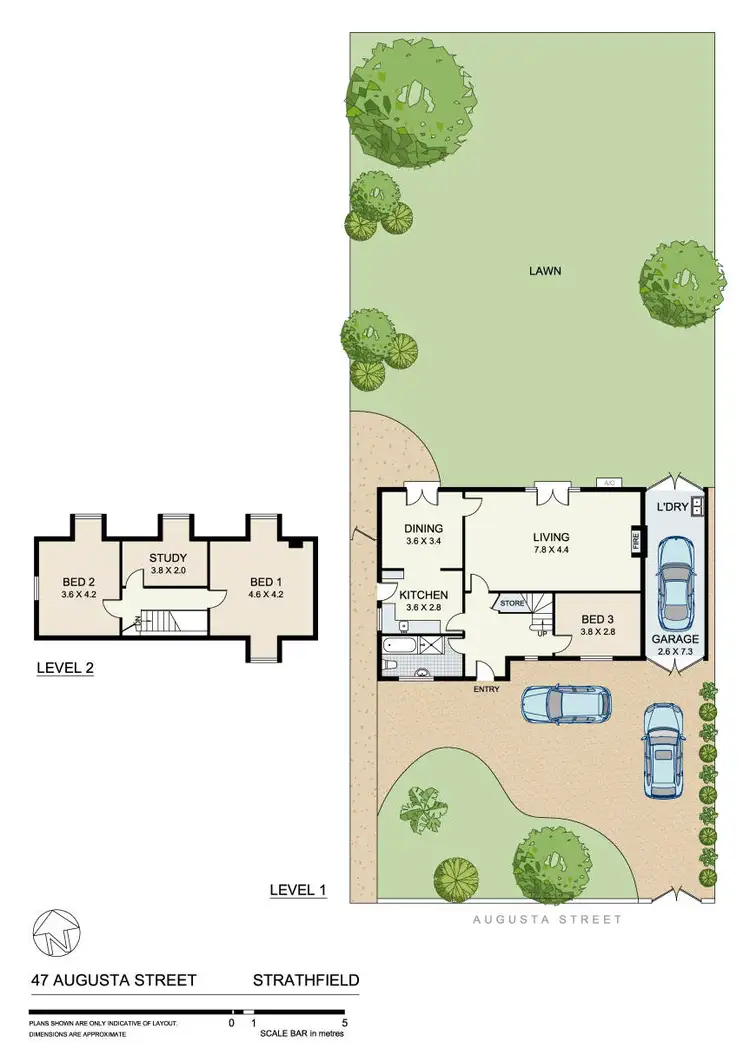 Floorplan of Homely house listing, 47 Augusta Street, Strathfield NSW 2135