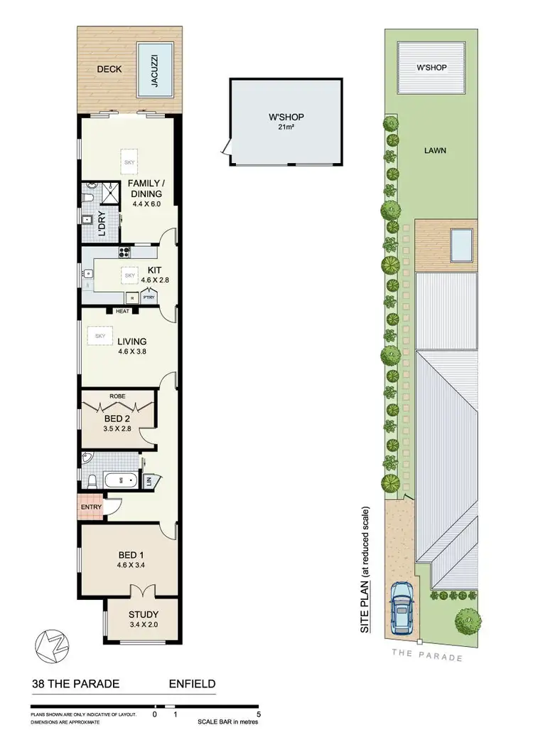 Floorplan of Homely house listing, 38 The Parade, Enfield NSW 2136