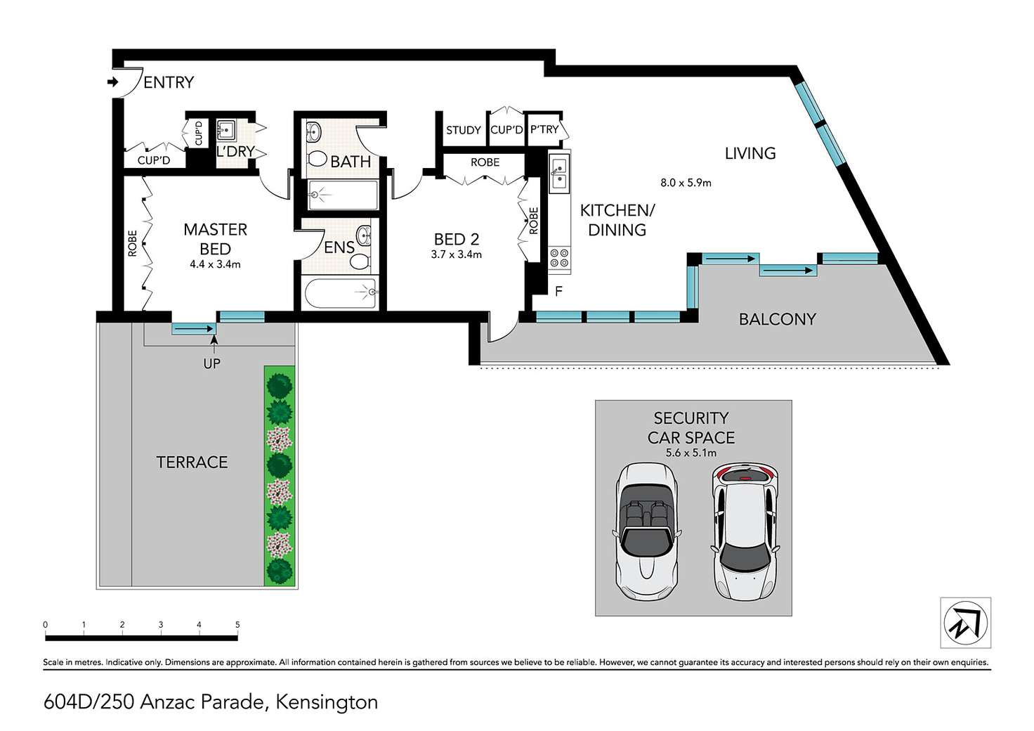 Floorplan of Homely apartment listing, 604D/250 Anzac Parade, Kensington NSW 2033
