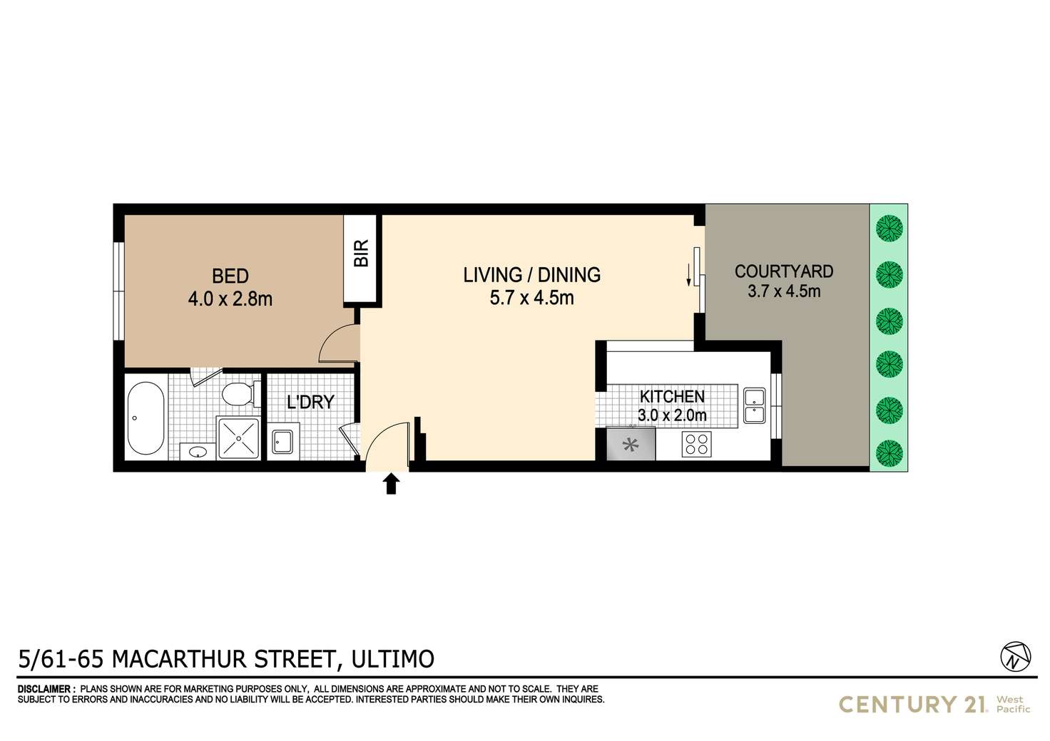 Floorplan of Homely apartment listing, 5/61 Macarthur Street, Ultimo NSW 2007