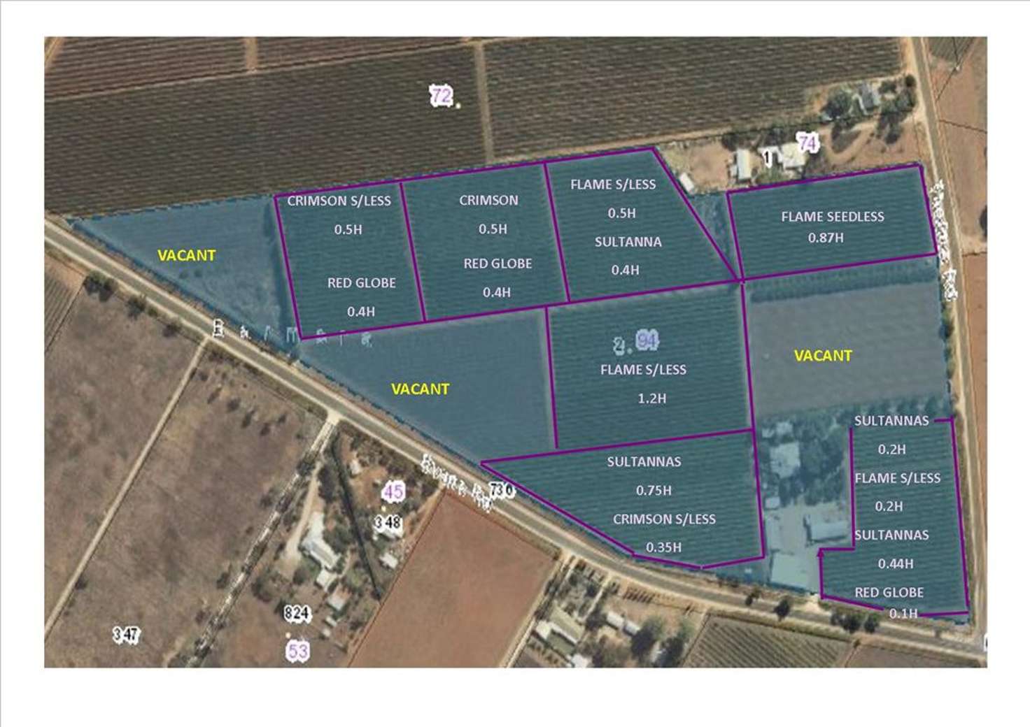 Floorplan of Homely ruralOther listing, 94 Thelma Road, Barmera SA 5345