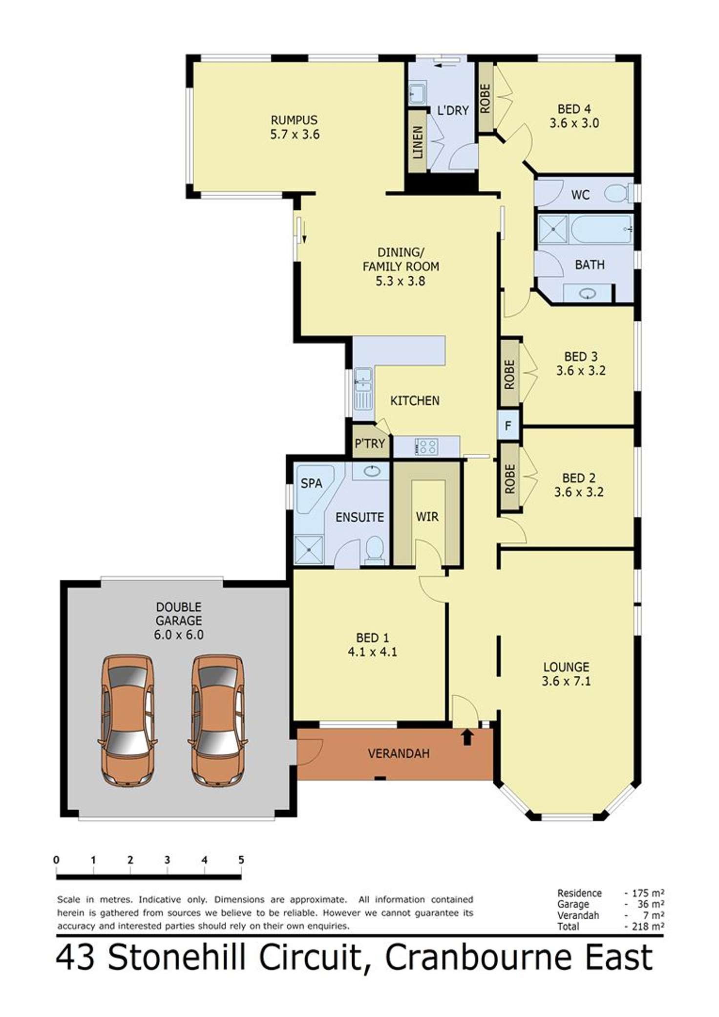 Floorplan of Homely house listing, 43 Stone Hill Circuit, Cranbourne East VIC 3977