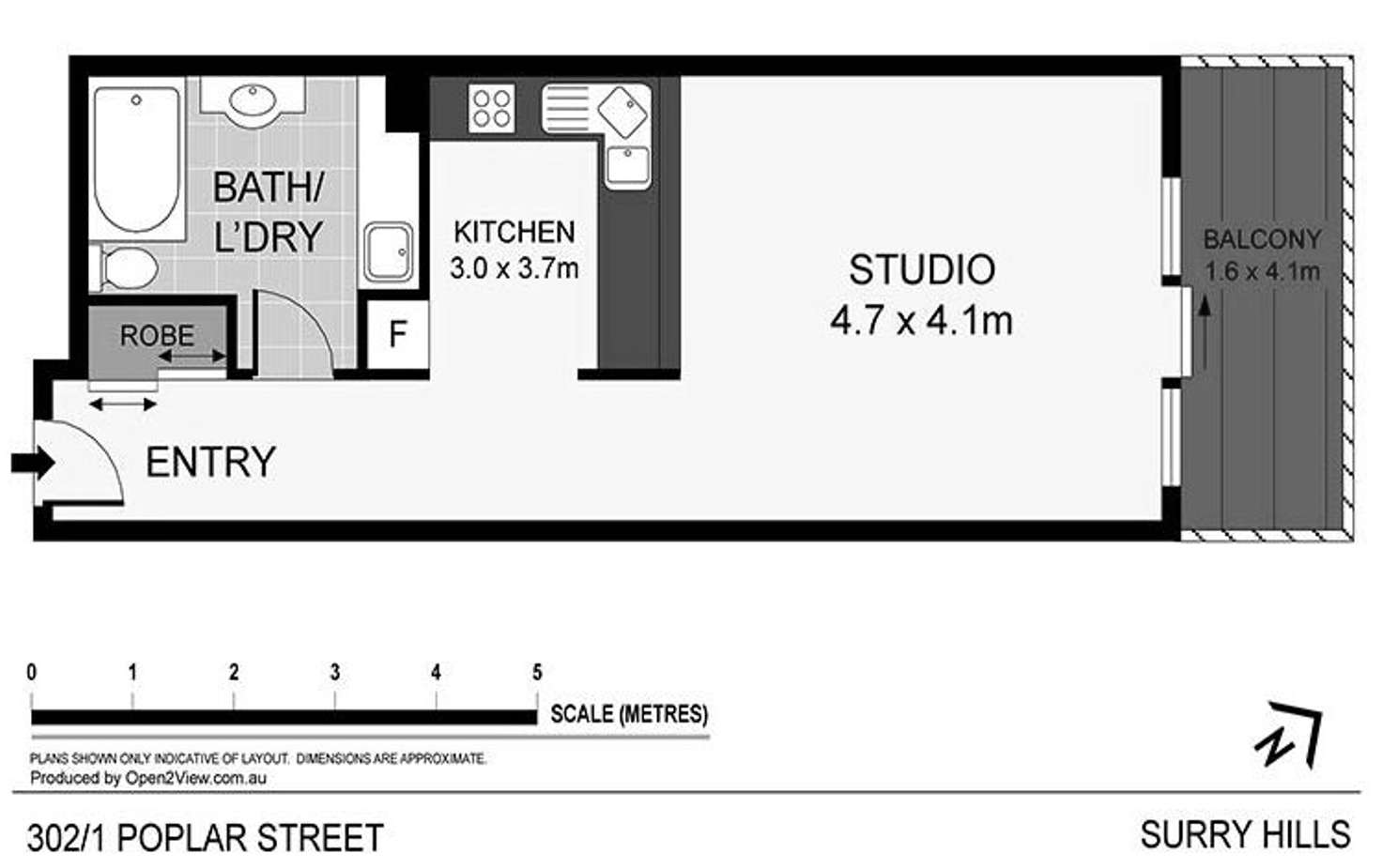 Floorplan of Homely studio listing, 302/1 Poplar Street, Surry Hills NSW 2010