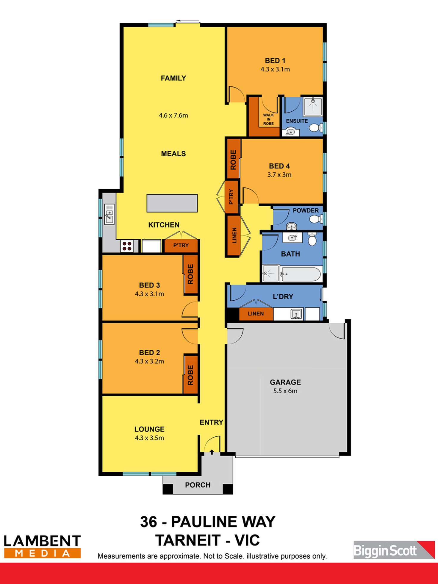 Floorplan of Homely house listing, 36 Pauline Way, Tarneit VIC 3029