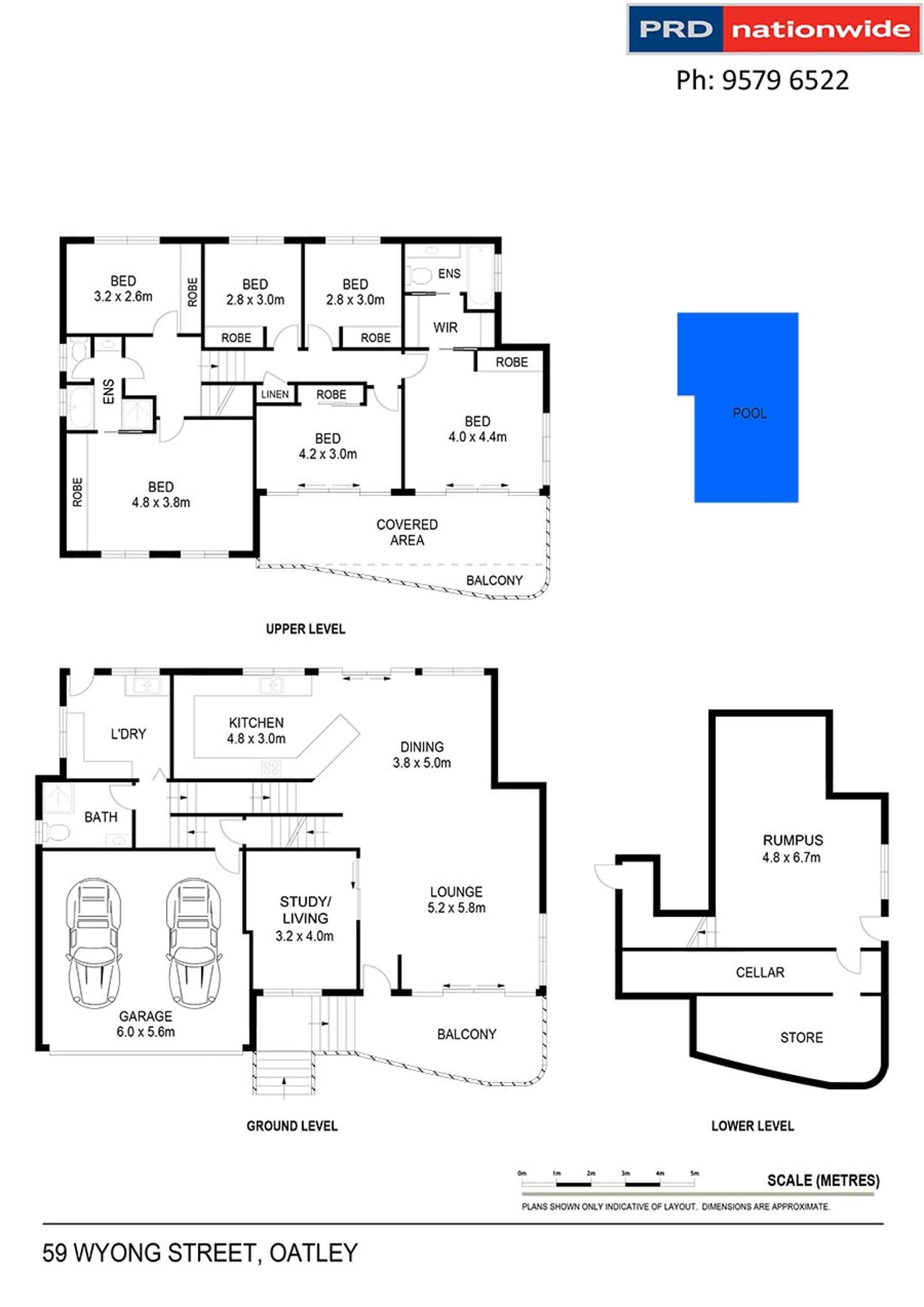 Floorplan of Homely house listing, 59 Wyong Street, Oatley NSW 2223