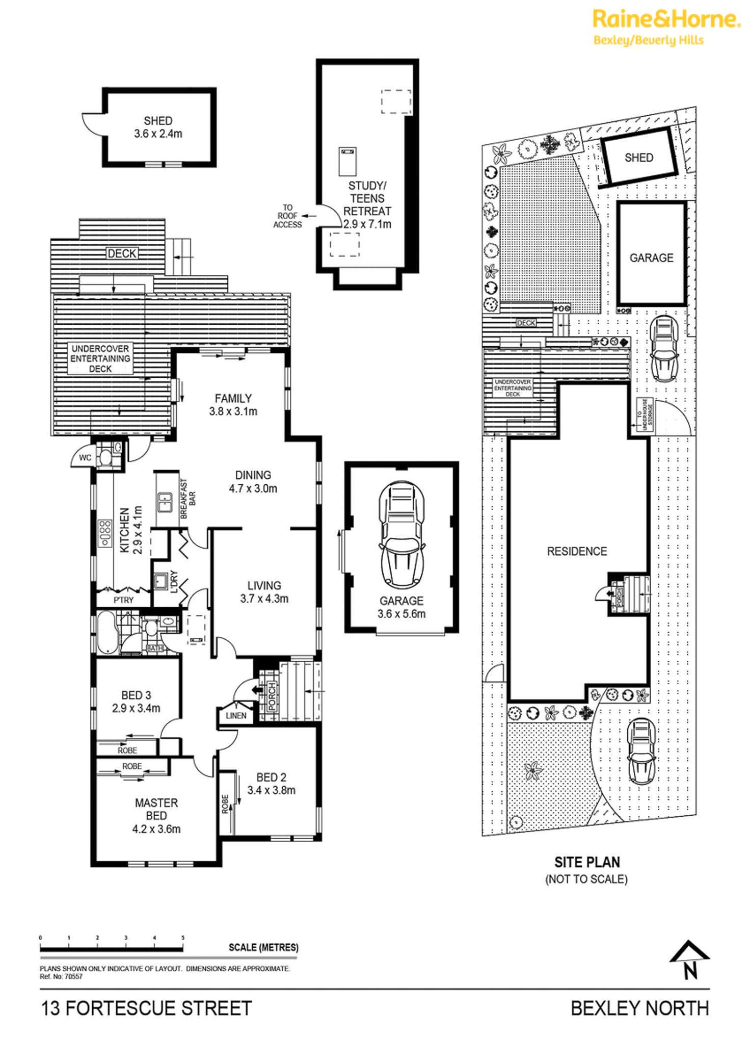 Floorplan of Homely house listing, 13 Fortescue Street, Bexley North NSW 2207