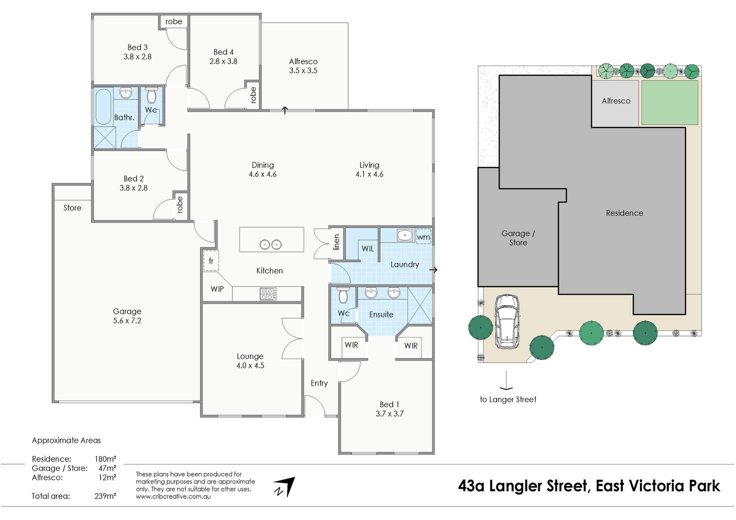 Floorplan of Homely house listing, 43A Langler Street, East Victoria Park WA 6101