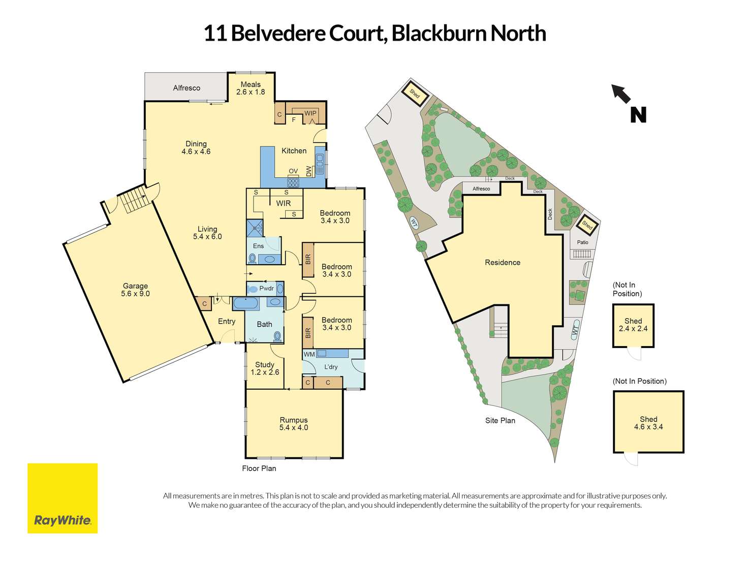 Floorplan of Homely house listing, 11 Belvedere Court, Blackburn North VIC 3130