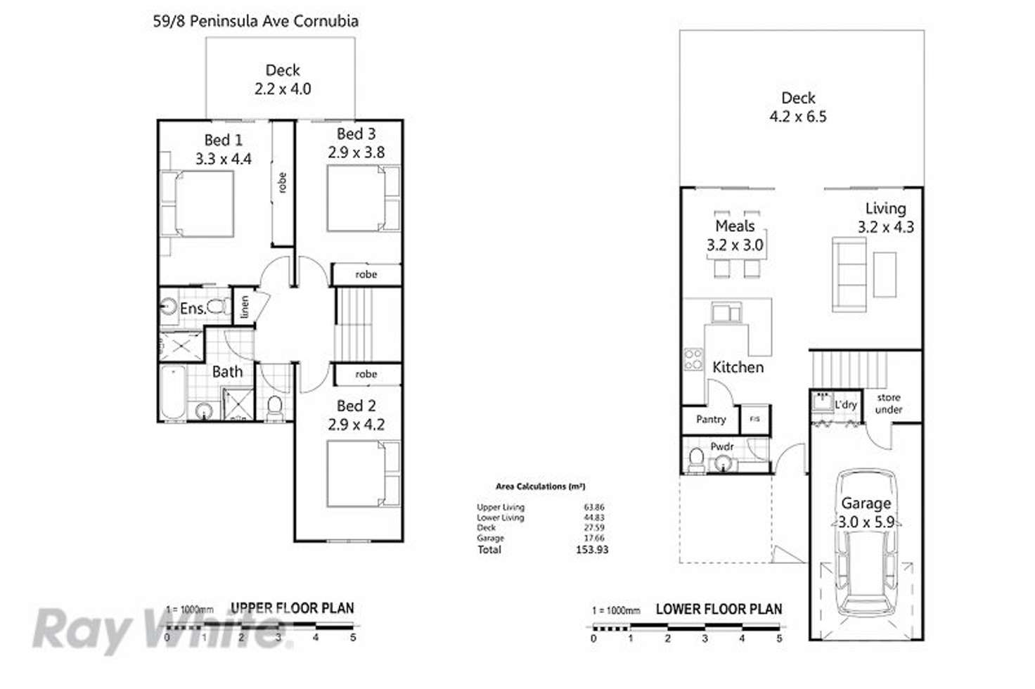 Floorplan of Homely townhouse listing, 59/8 Peninsula Avenue, Cornubia QLD 4130