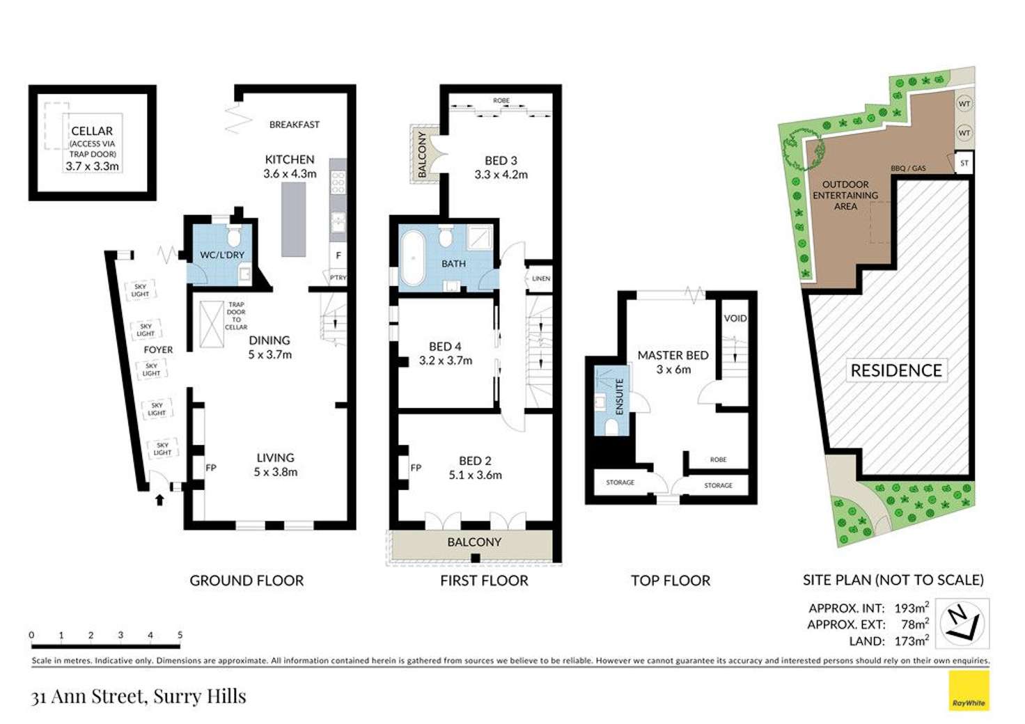 Floorplan of Homely house listing, 31 Ann Street, Surry Hills NSW 2010