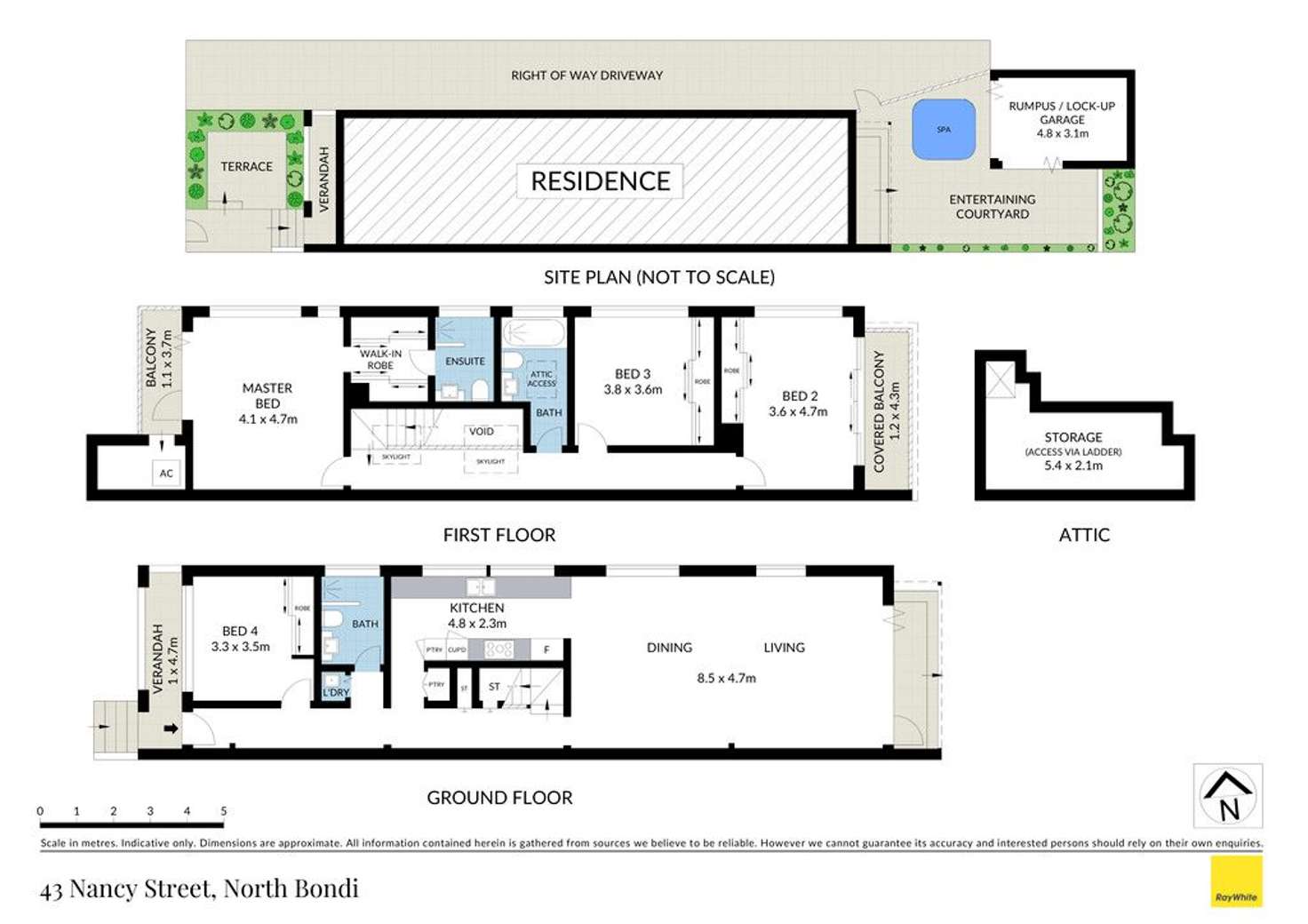 Floorplan of Homely house listing, 43 Nancy Street, North Bondi NSW 2026