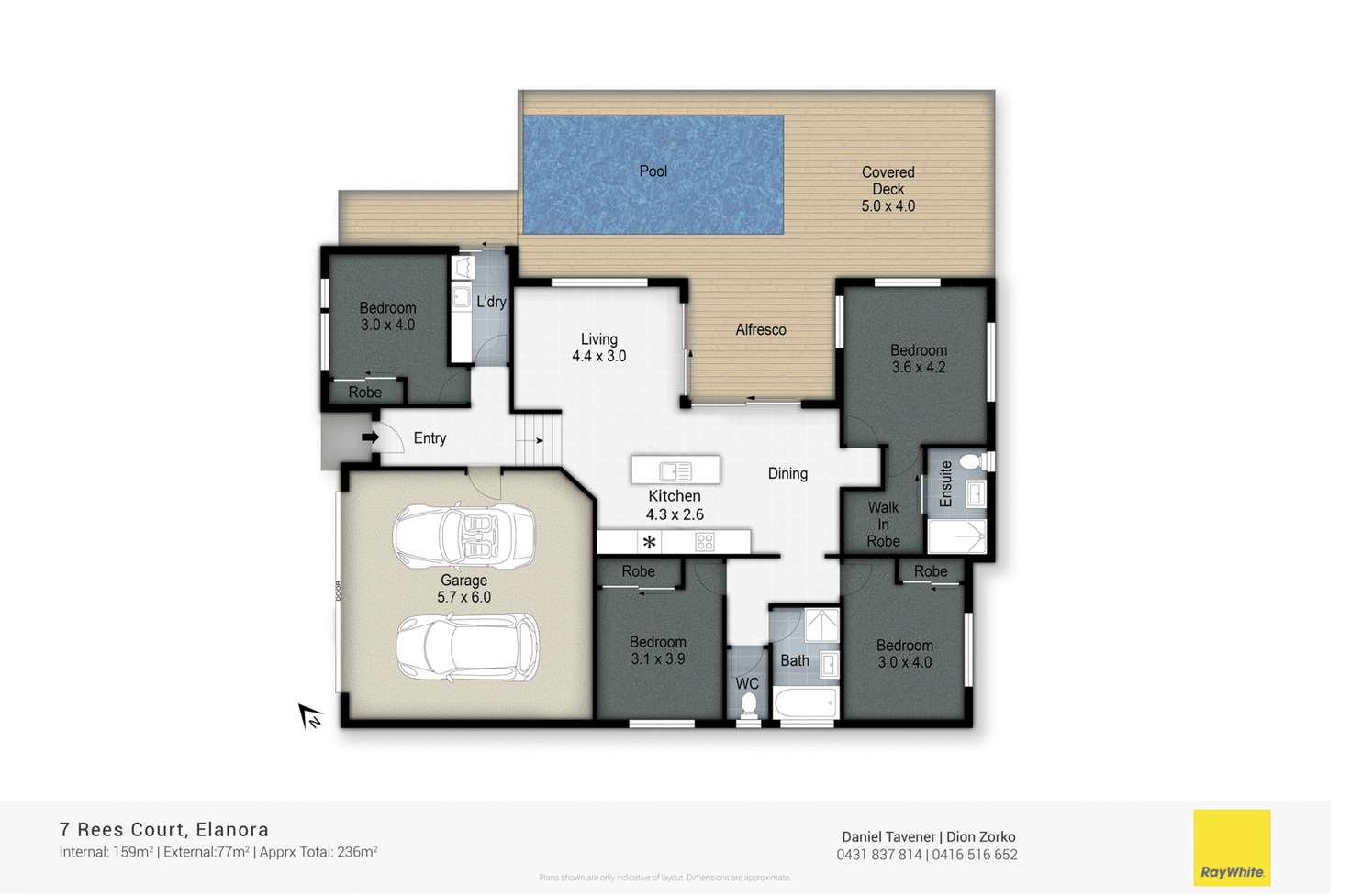 Floorplan of Homely house listing, 7 Rees Court, Elanora QLD 4221