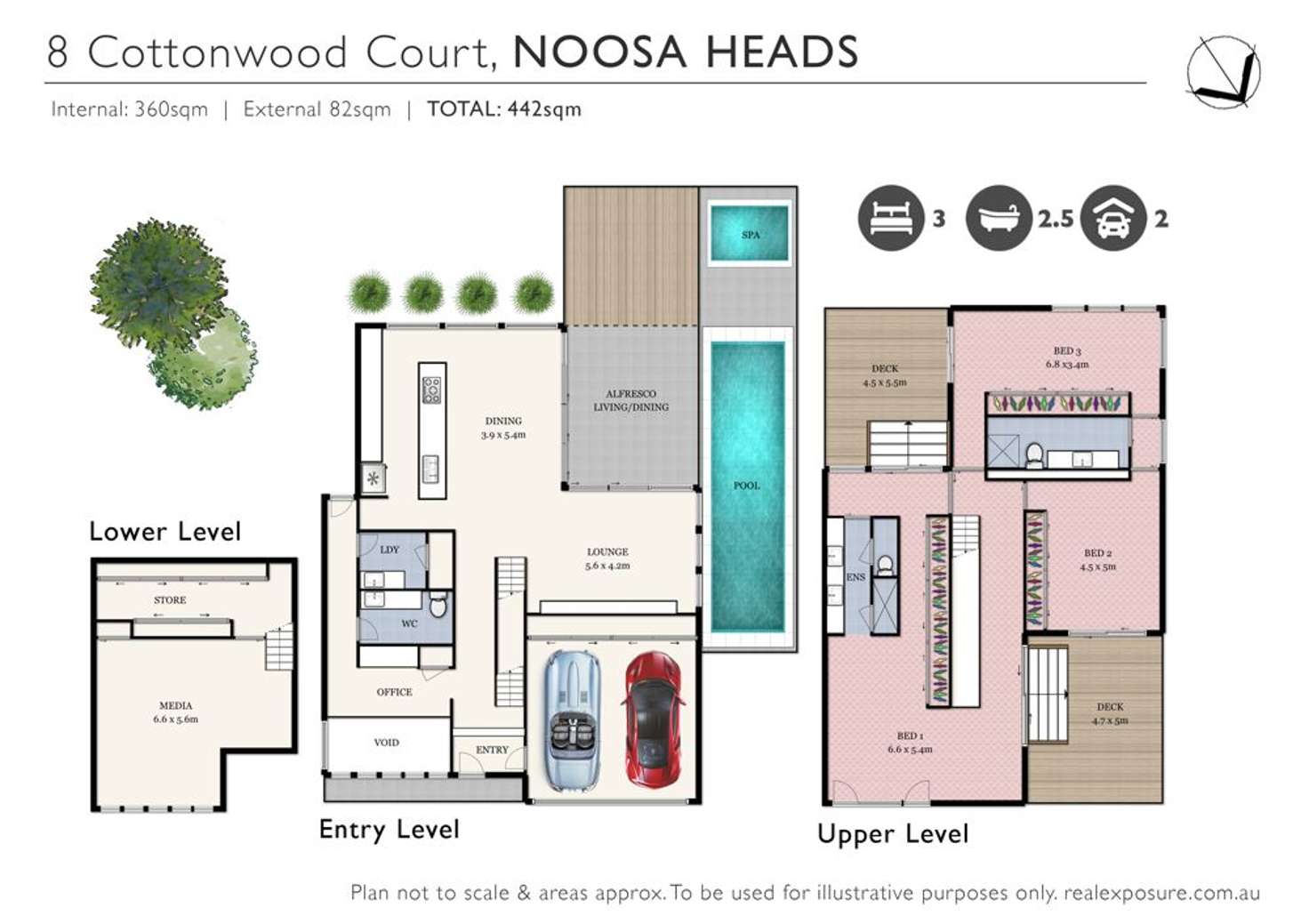 Floorplan of Homely house listing, 8 Cottonwood Court, Noosa Heads QLD 4567