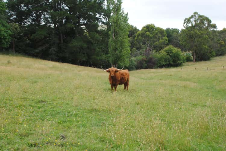 Main view of Homely lifestyle listing, 6 MINNS ROAD, Koonwarra VIC 3954