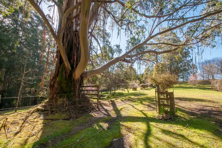 890 Yarragon Leongatha Road, Yarragon South VIC 3823