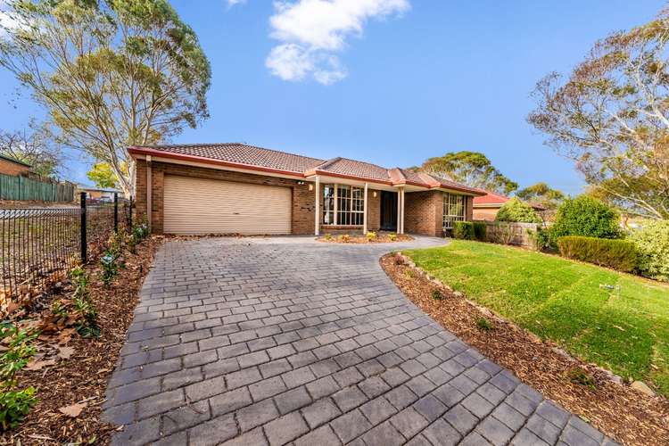 Main view of Homely house listing, 11 Stringybark Court, Berwick VIC 3806