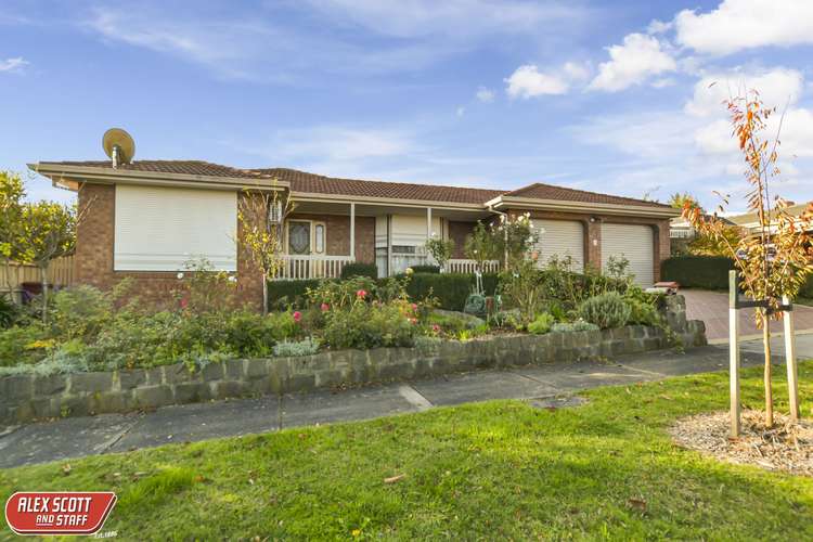Main view of Homely house listing, 8 MILLGROVE WAY, Berwick VIC 3806
