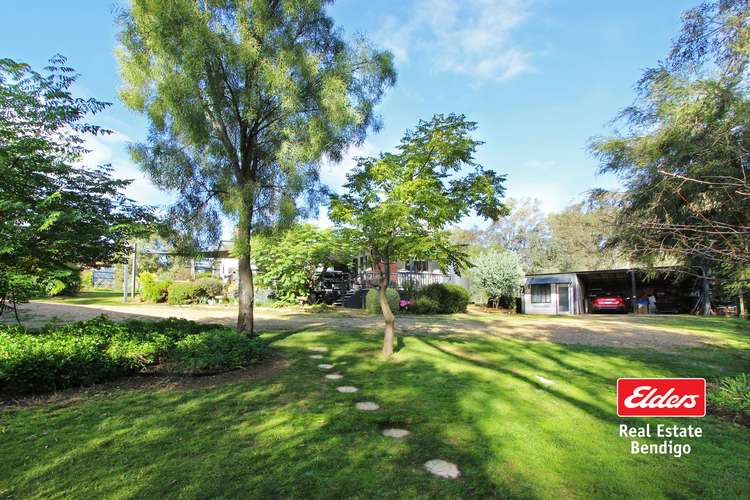 Main view of Homely acreageSemiRural listing, 493 Maldon - Newstead Road, Welshmans Reef VIC 3462