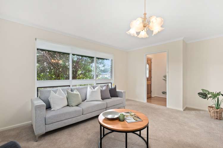 Main view of Homely house listing, 16 Cunningham Street, Morphett Vale SA 5162