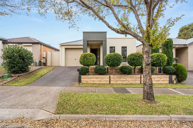 4 Antonio Street, Huntfield Heights SA 5163