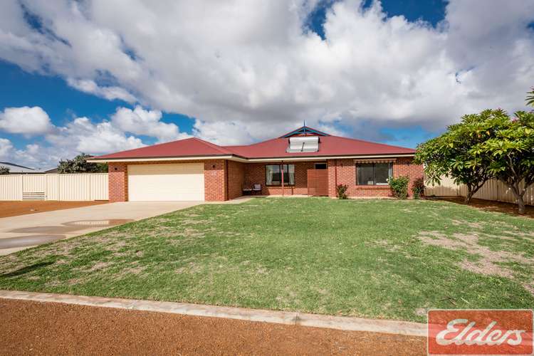 Main view of Homely house listing, 46 Honey Suckle Boulevard, Woorree WA 6530