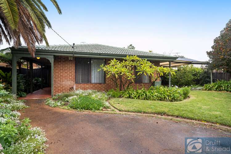 429 Karrinyup Road, Innaloo WA 6018