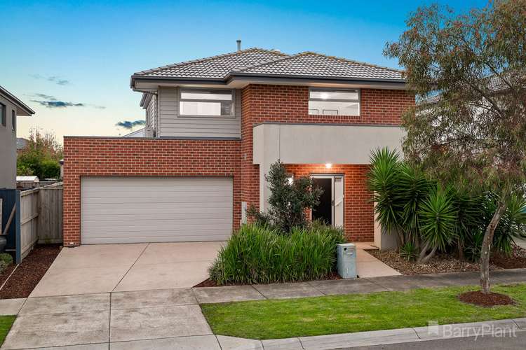 Main view of Homely house listing, 19 Elmtree Crescent, Clyde North VIC 3978
