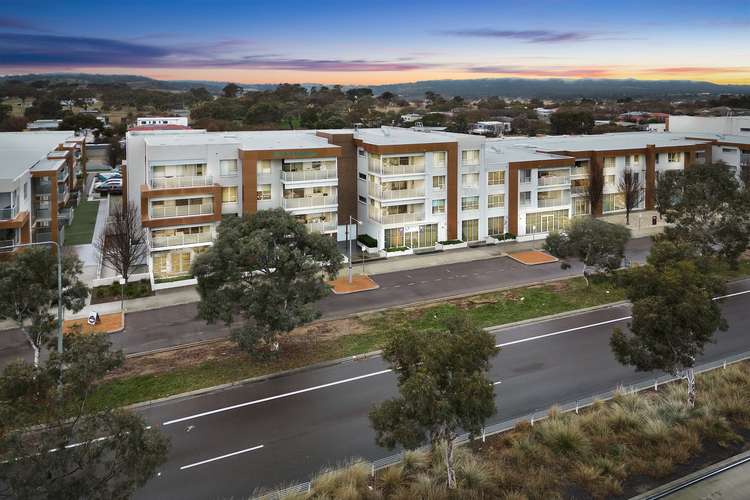 Main view of Homely apartment listing, 91/148 Flemington Road, Harrison ACT 2914