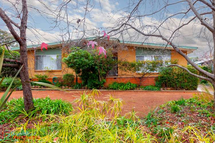 12 Douglas Place, Curtin ACT 2605