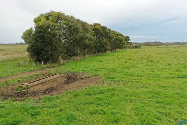 Third view of Homely rural property listing, 80 Hollands Landing Road, Meerlieu VIC 3862