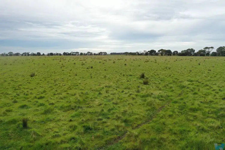 Sixth view of Homely rural property listing, 80 Hollands Landing Road, Meerlieu VIC 3862
