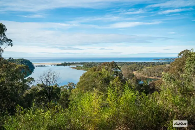 Sixth view of Homely land listing, LOT 3 Goats Knob Road, Chinnock NSW 2550