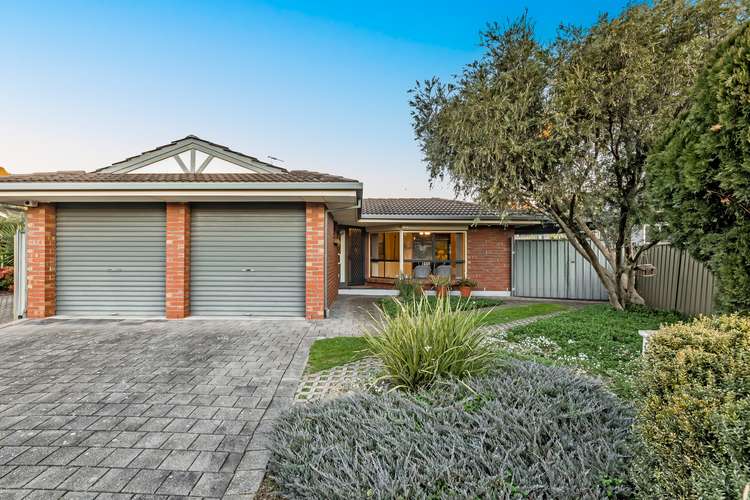 Main view of Homely house listing, 19 Addolorata Court, Highbury SA 5089
