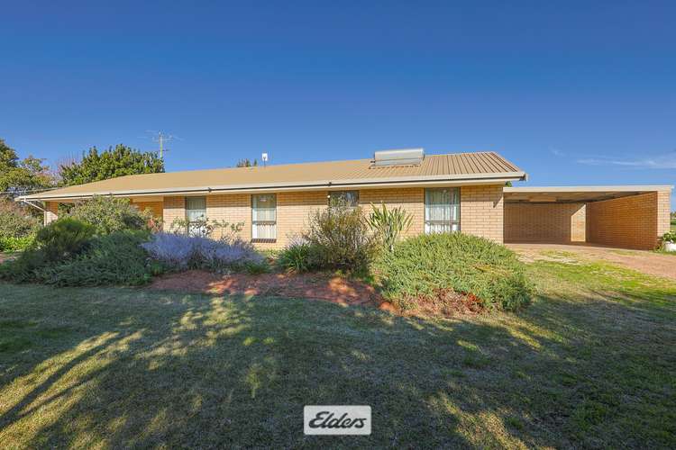 Main view of Homely house listing, 62 Sandilong Avenue, Irymple VIC 3498