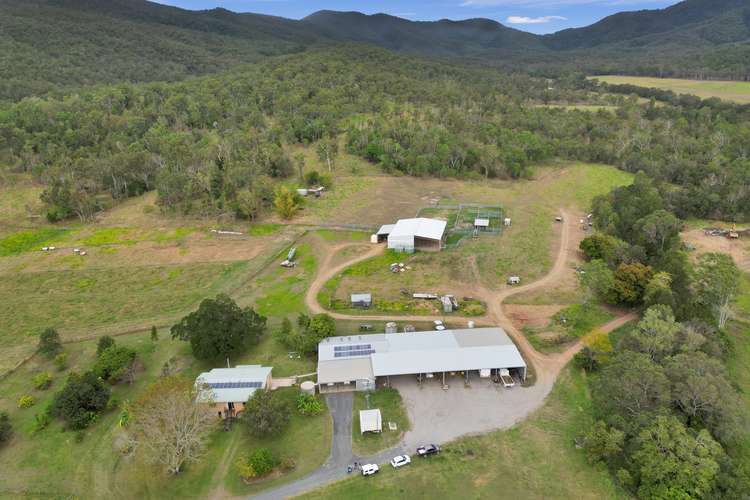 Main view of Homely livestock listing, 247 Olletts Road, Brightly QLD 4741