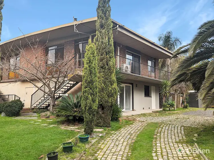 8 Olive Road