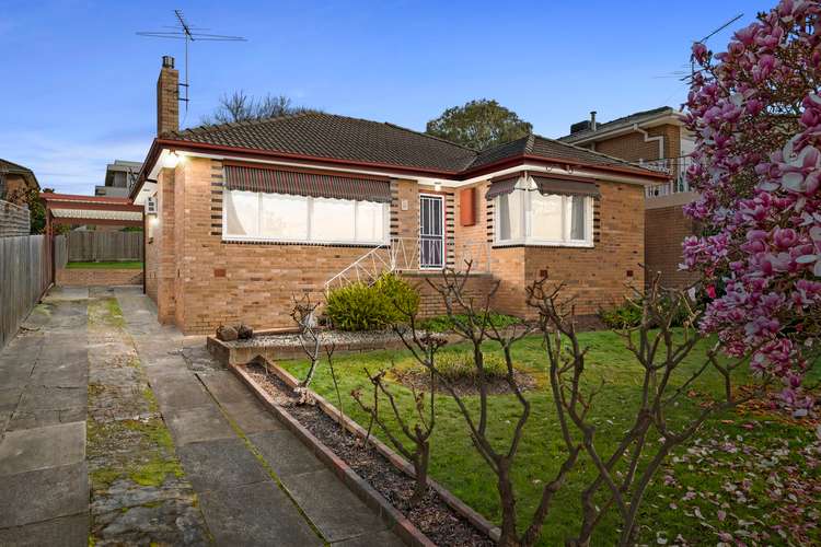 Main view of Homely house listing, 19 Falcon Road, Macleod VIC 3085