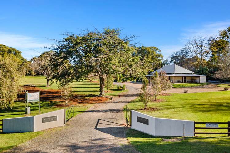 Main view of Homely acreageSemiRural listing, 224 North Bank Road, Bellingen NSW 2454