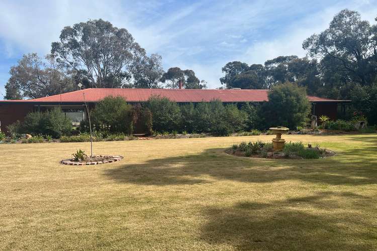 Main view of Homely ruralOther listing, 146 Darwin Road, Robinvale VIC 3549