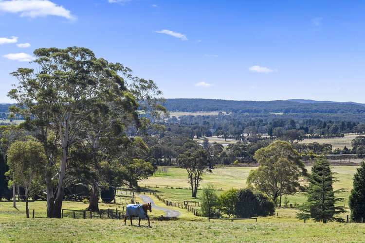 Main view of Homely acreageSemiRural listing, 84 Allambie Road, Mittagong NSW 2575