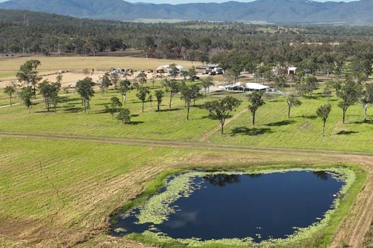 Main view of Homely livestock listing, 24450 Peak Downs Highway, Victoria Plains QLD 4751