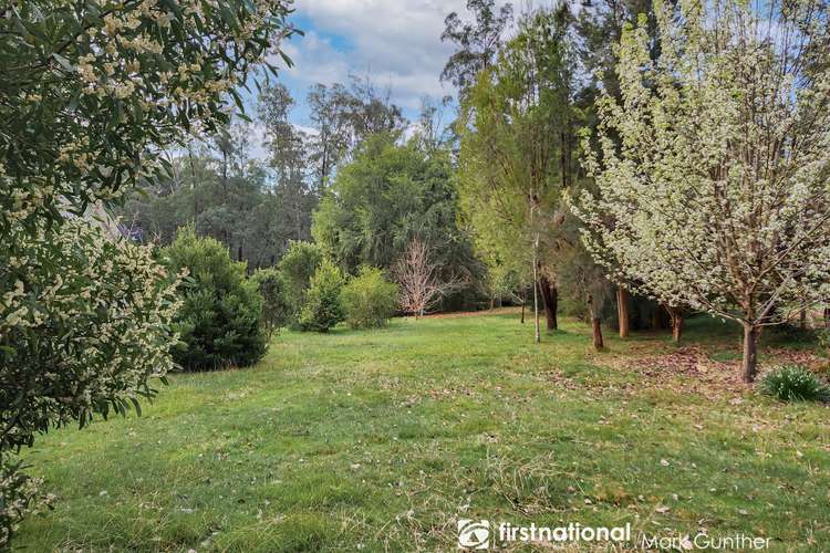 550 (CA18) Marysville Road, Narbethong VIC 3778