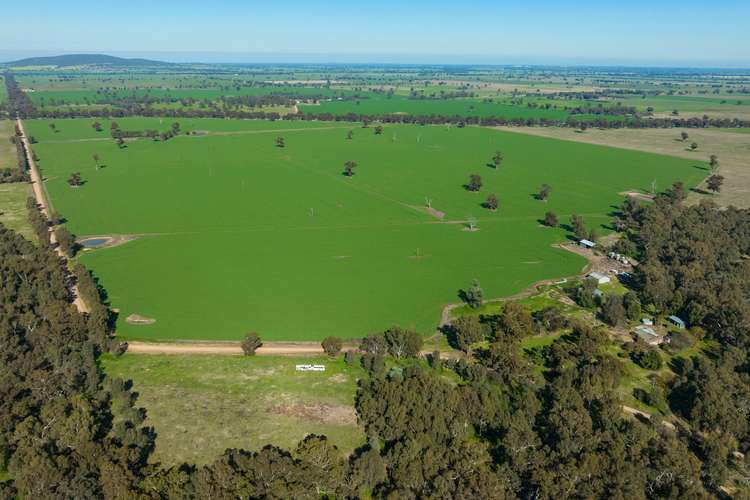 Main view of Homely mixedFarming listing, "RONAVIS", Trigg Road, Rand NSW 2642