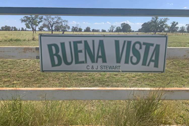 465 Bourbah Rd "Buena Vista" Road, Collie NSW 2827